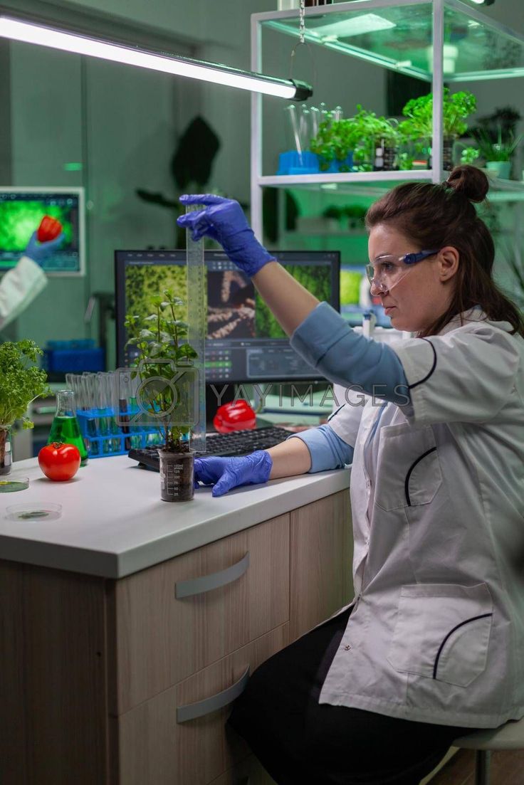 Biomaterials Engineer